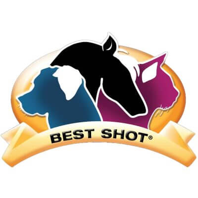 Best Shot logo